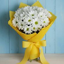 Букет цветов из:  Хризантемы в Тамале