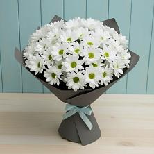 Букет цветов из:  Хризантемы в Тамале