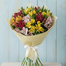 Букет цветов из:  Альстромерии в Тамале